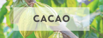 Raw Cacao