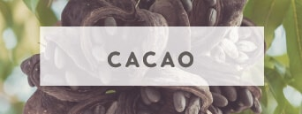 Buy organic raw cacao at Wildly Organic