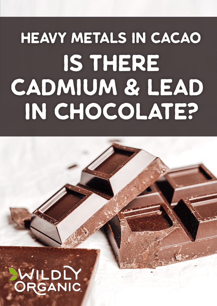 Dark chocolate bars with a caption asking about cadmium and lead in cacao and chocolate.