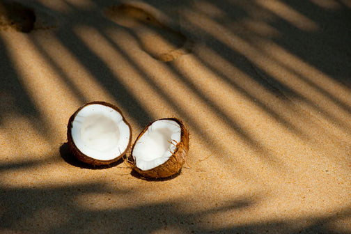 Coconuts in the sand