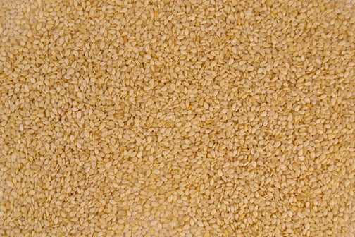 Sesame seeds for sesame oil