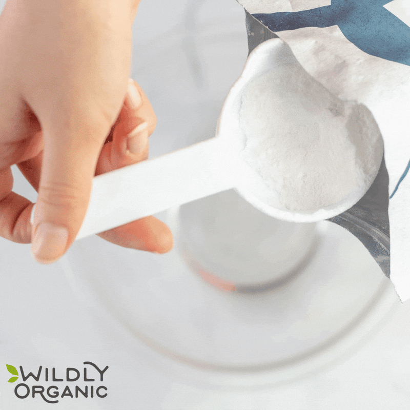 Organic Coconut Milk Powder | Non-Dairy